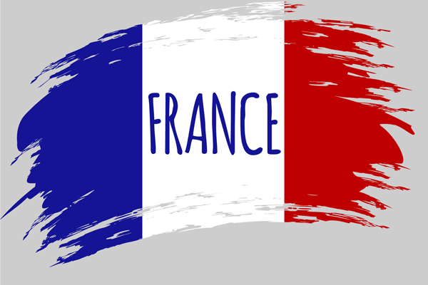 هزینه بین‌الملل فرانسه در مدرسه مجازی ملل